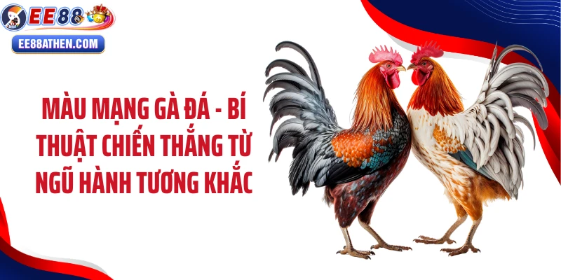 Màu mạng gà đá